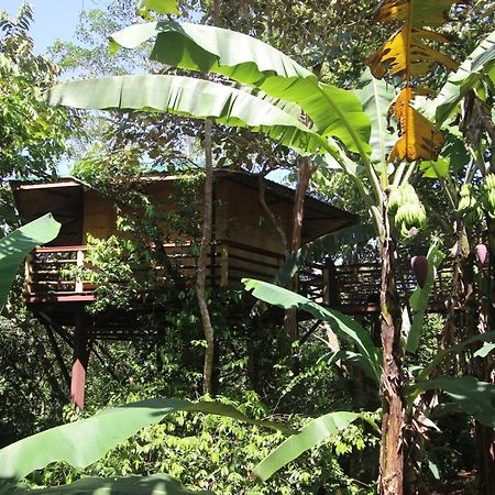 Vila Treehouse Pilon Pavones Pavones  Exteriér fotografie