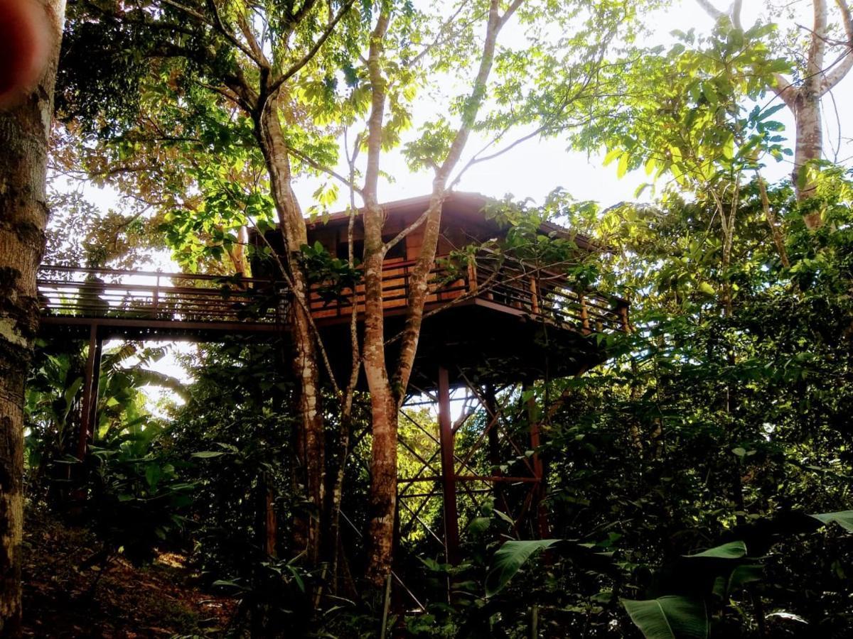 Vila Treehouse Pilon Pavones Pavones  Exteriér fotografie