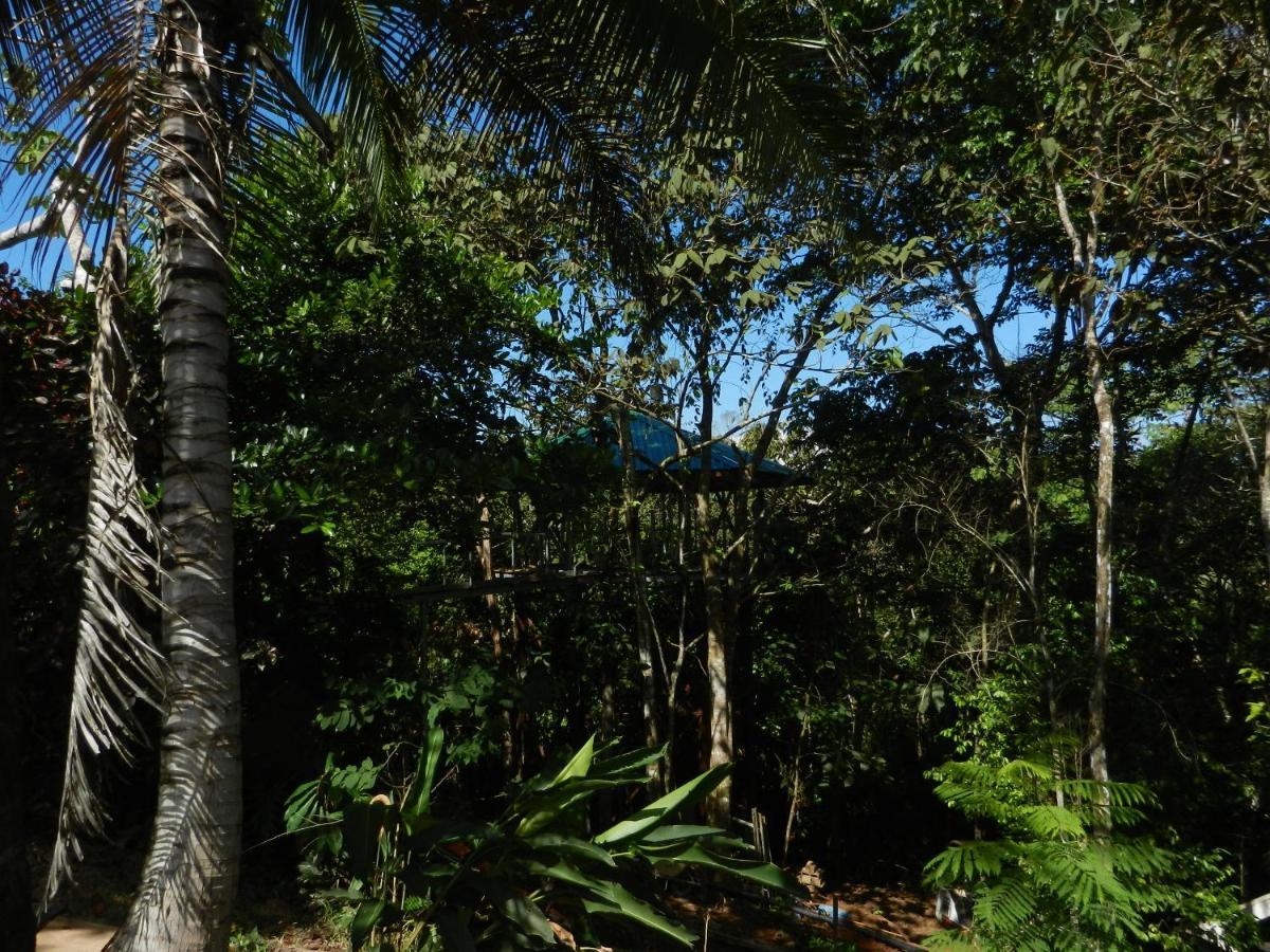 Vila Treehouse Pilon Pavones Pavones  Exteriér fotografie