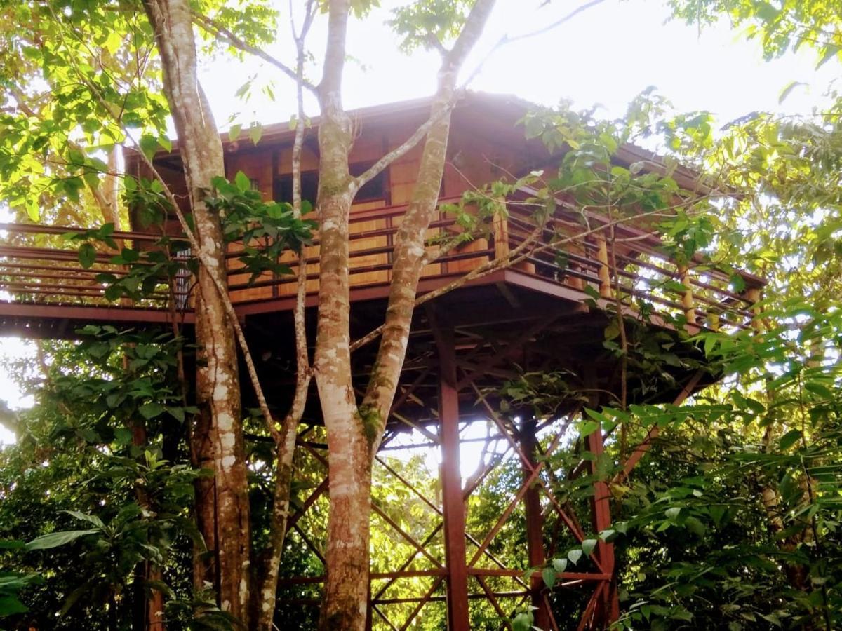 Vila Treehouse Pilon Pavones Pavones  Exteriér fotografie