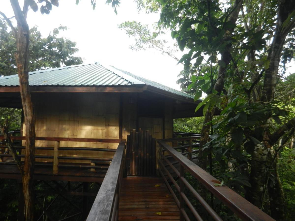 Vila Treehouse Pilon Pavones Pavones  Exteriér fotografie