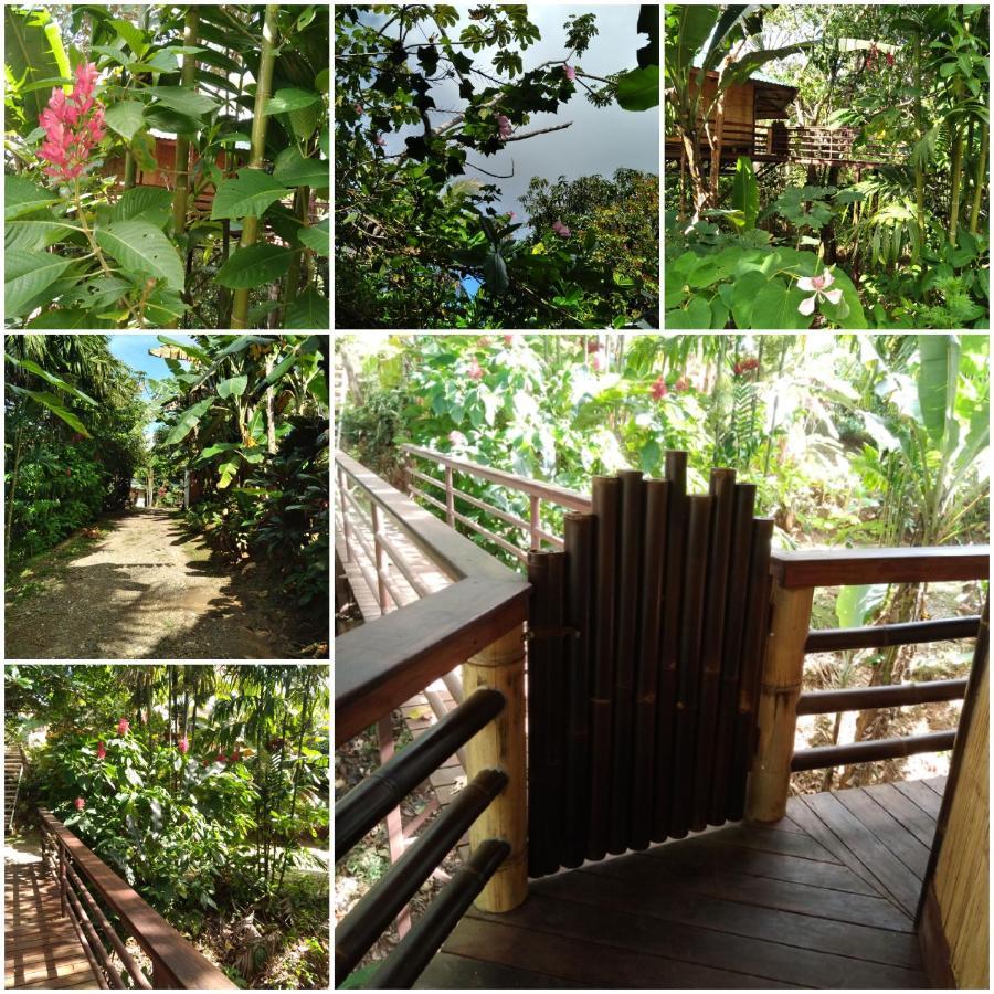 Vila Treehouse Pilon Pavones Pavones  Exteriér fotografie