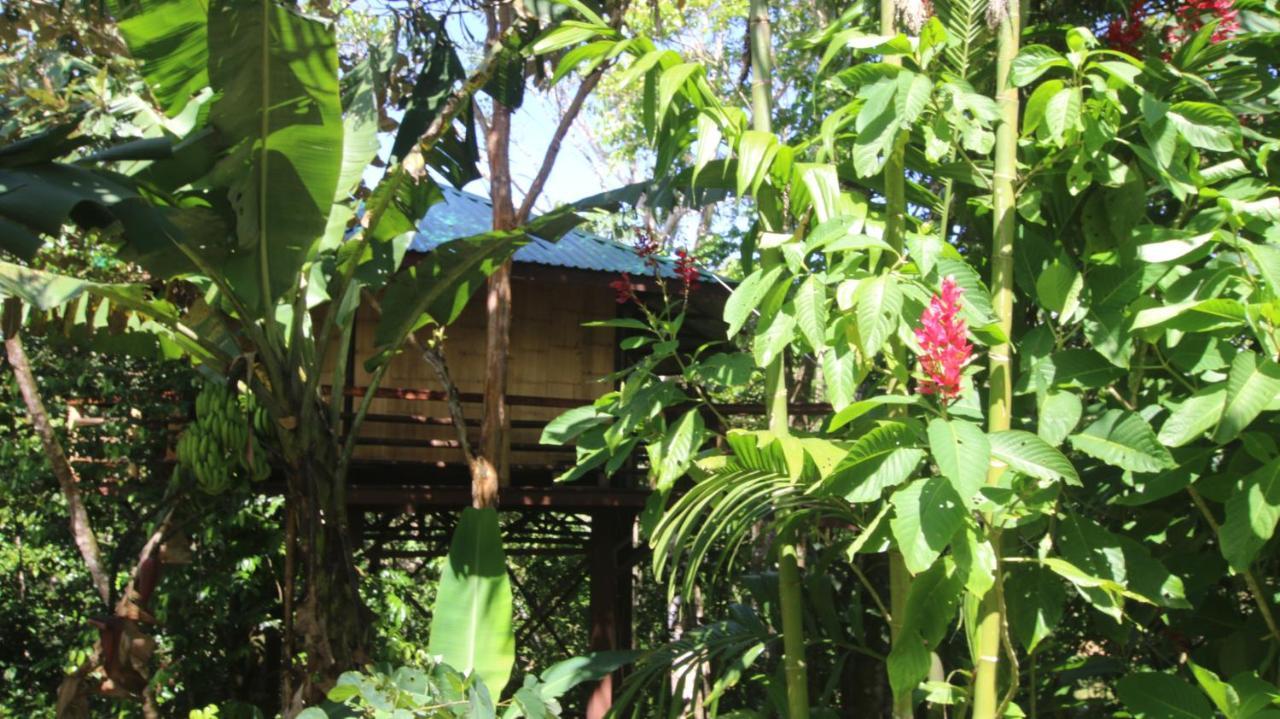 Vila Treehouse Pilon Pavones Pavones  Exteriér fotografie